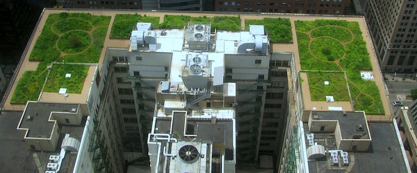chicago-green-roof-flat