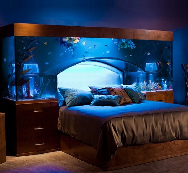 aquarium-bed